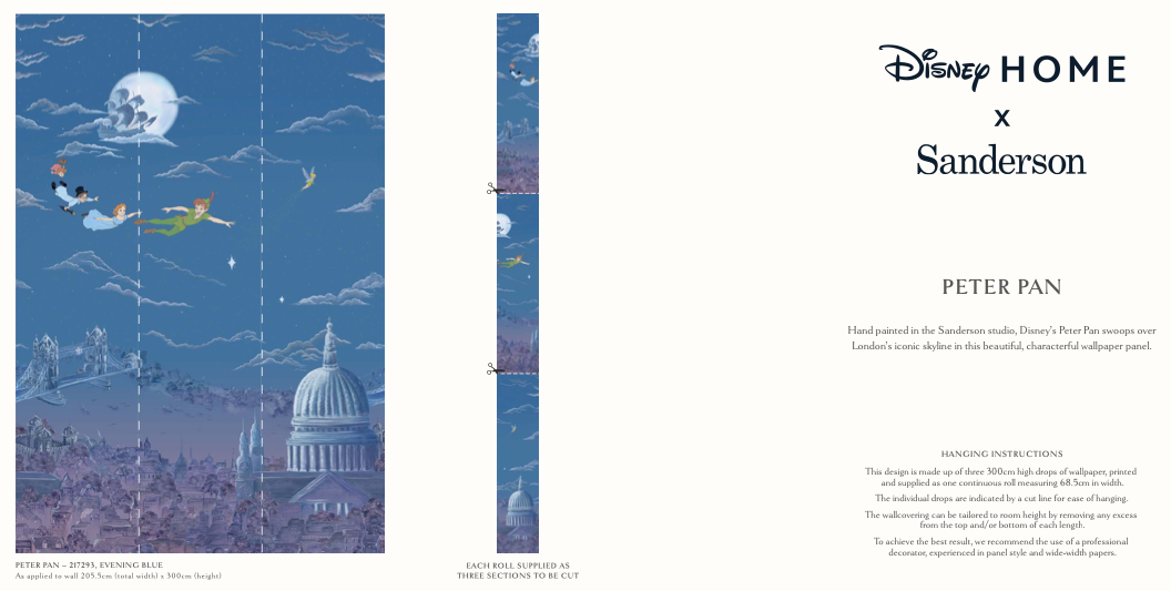 Sanderson x Disney Peter Pan 217293