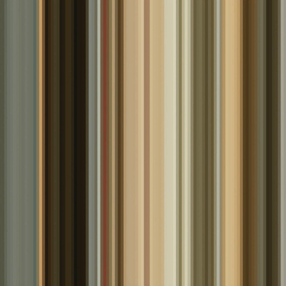 Thomas Eyck 216 rijksmuseum wallpaper dna 45