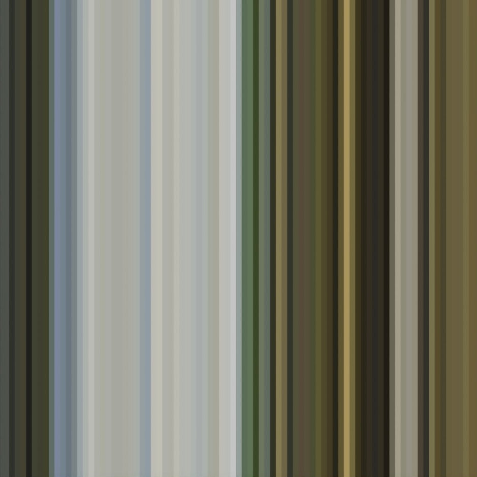 t.e.216 rijksmuseum behang dna 39