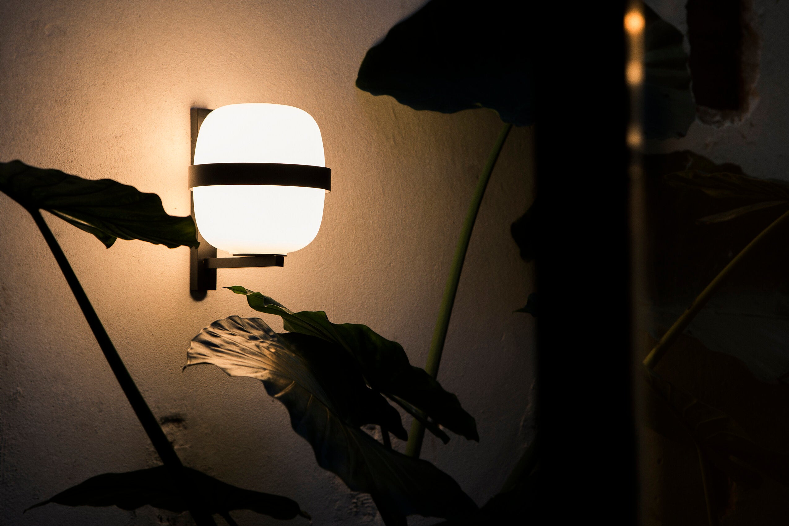 Santa & Cole Wally Cestita wandlamp
