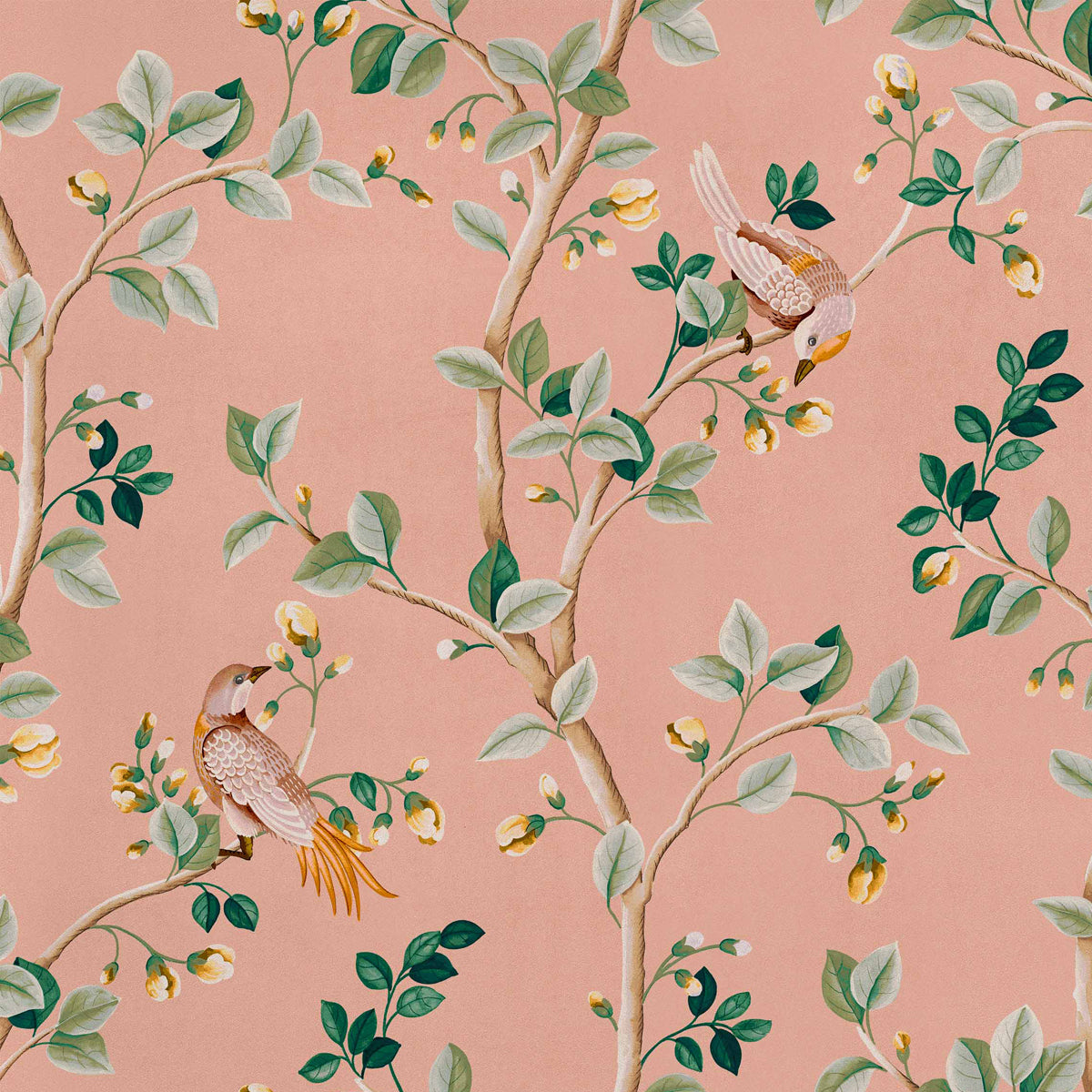 Coordonné behang Birds Prosperity Rose B00124