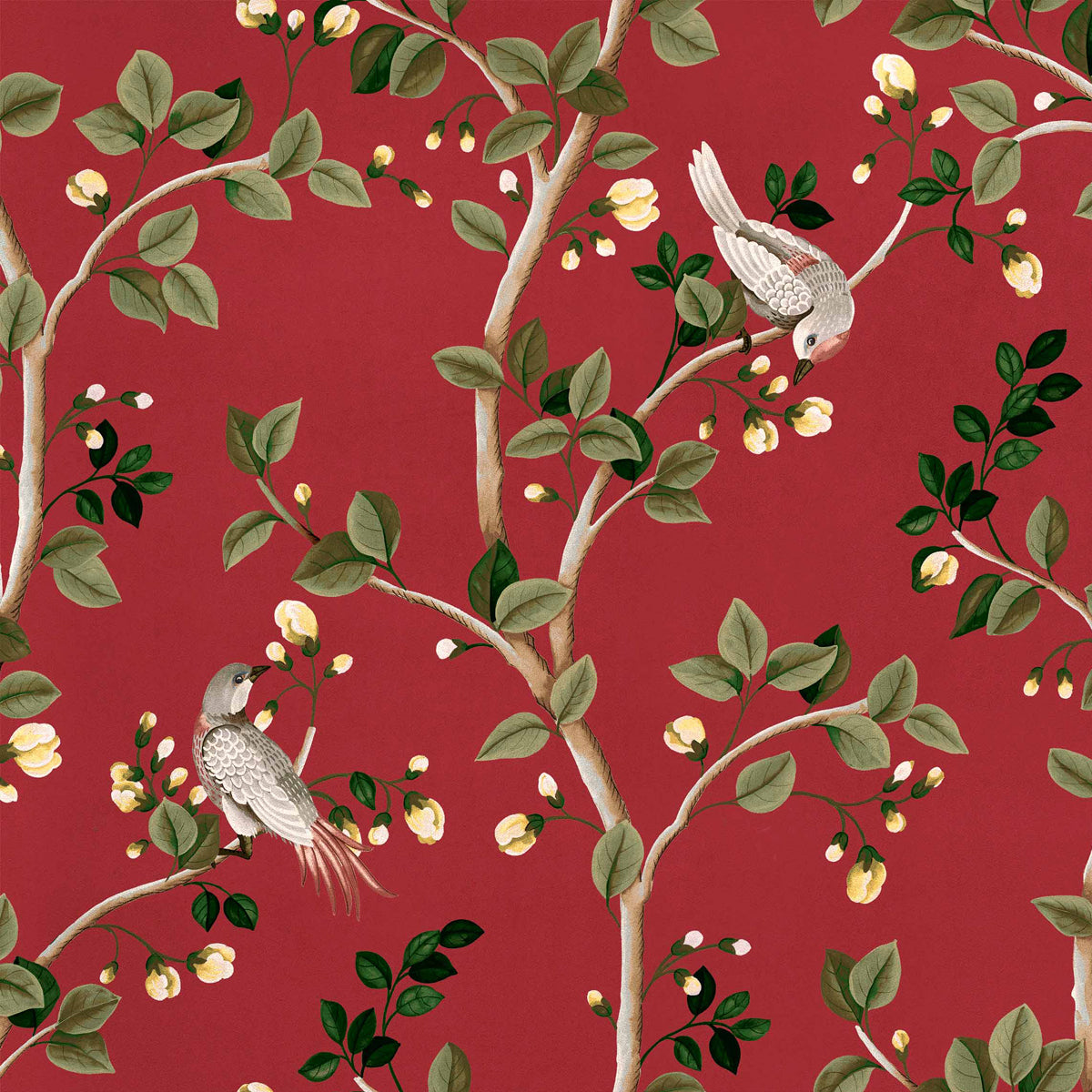 Coordonné behang Birds Prosperity Ruby B00120