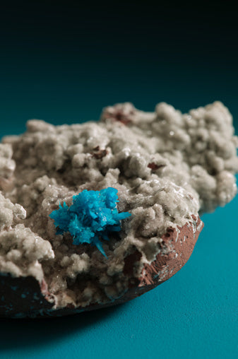 Paint & Paper Library verf Blue Tiger (712)