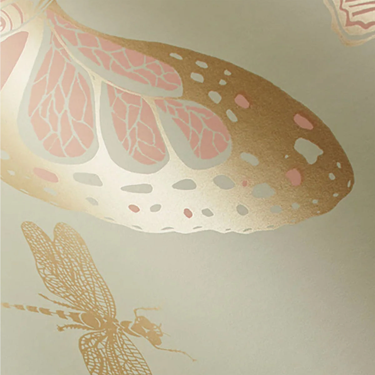 Cole and Son behang Butterflies & Dragonflies pale cream 103/15066
