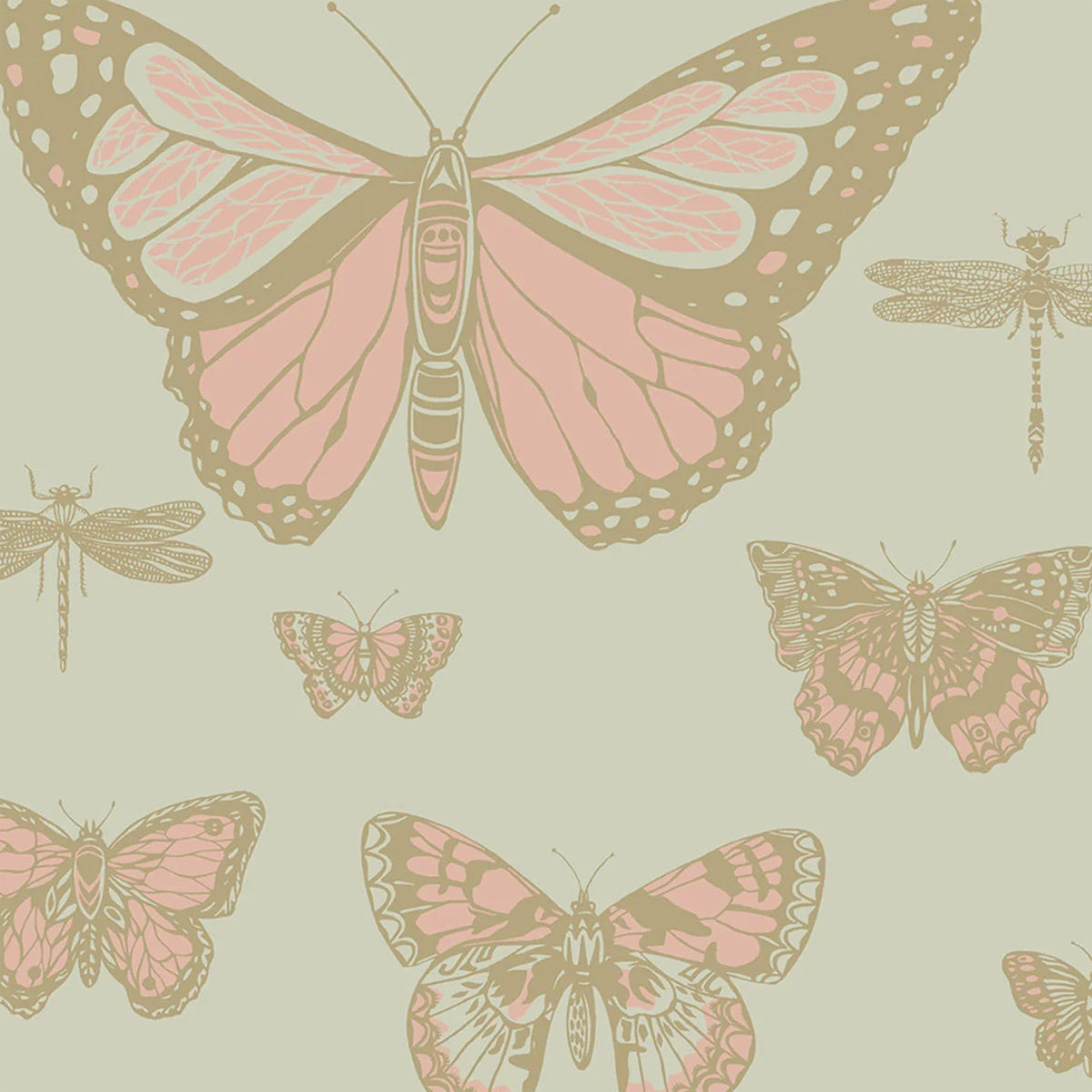Cole and Son behang Butterflies & Dragonflies Alabaster 103/15063
