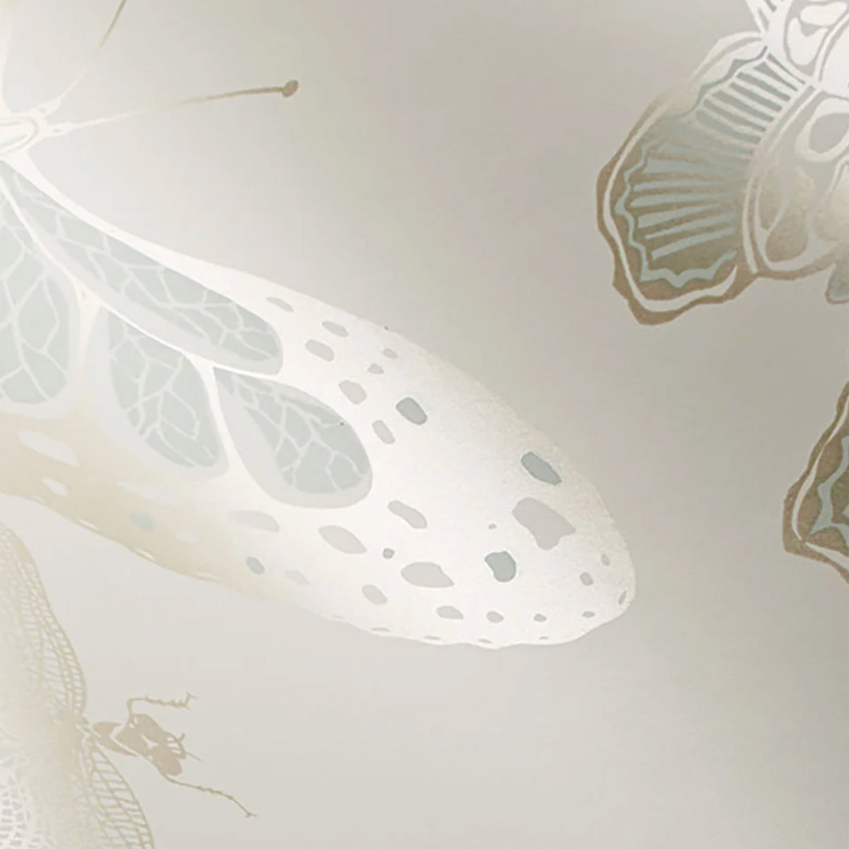 Cole and Son behang Butterflies & Dragonflies duck egg 103/15065