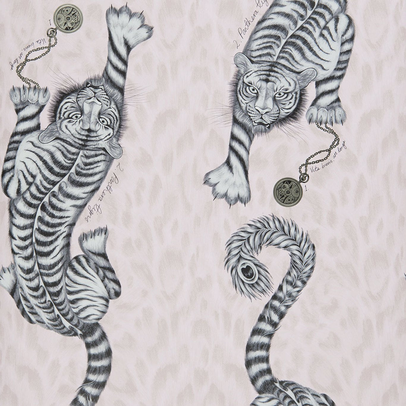 Clarke & Clarke behang Tigris Pink W0105/04