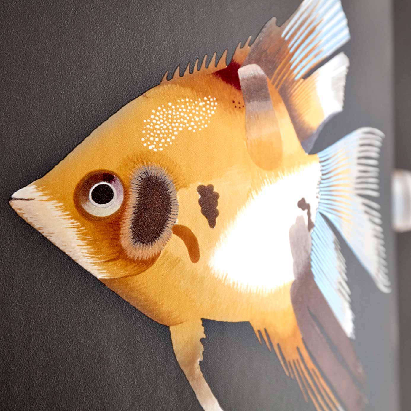 Harlequin behang Kamanu Amber/Slate 111648
