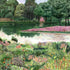 Coordonné behang Jardín del Espejo Primavera A00640