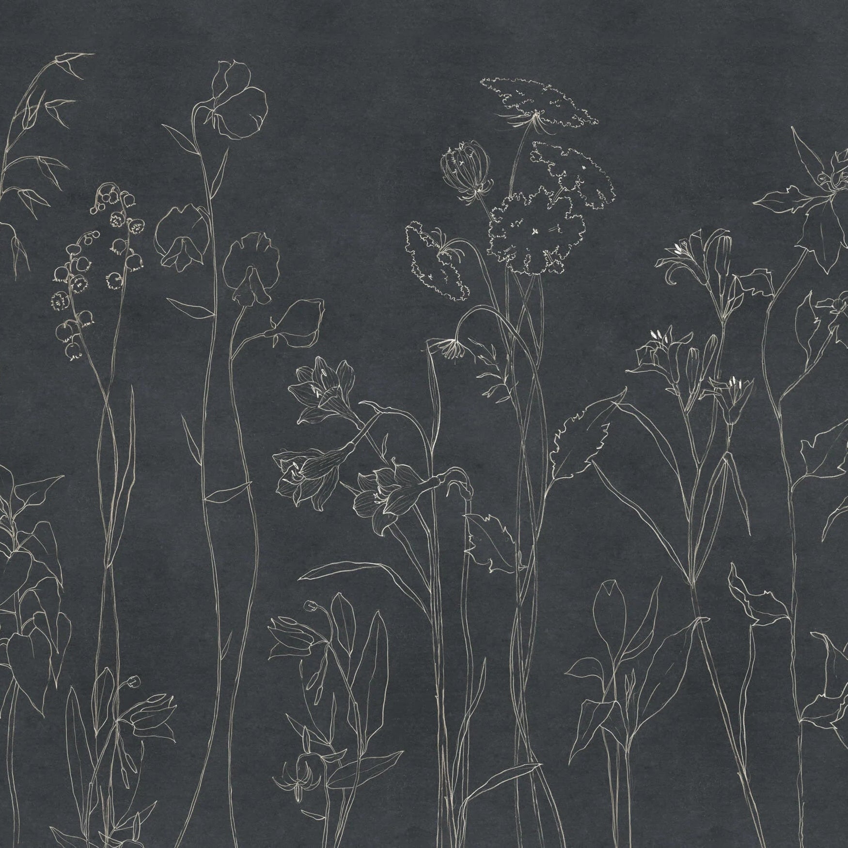 Coordonné Behang Countryside Black B00366