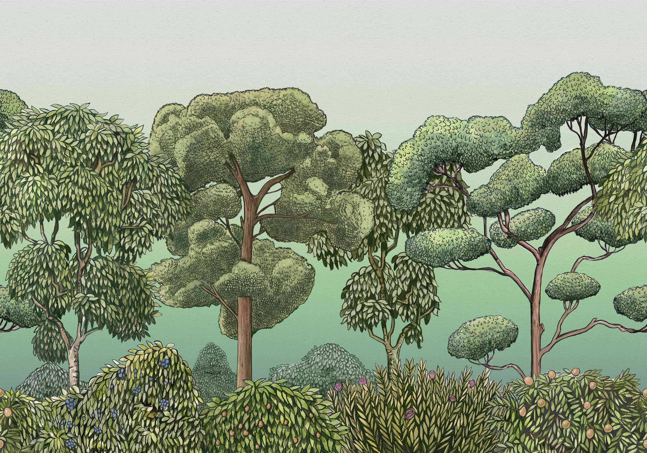 Coordonné behang Green Forest Dew 9700092