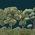 Coordonné behang Green Forest Midnight 9700093