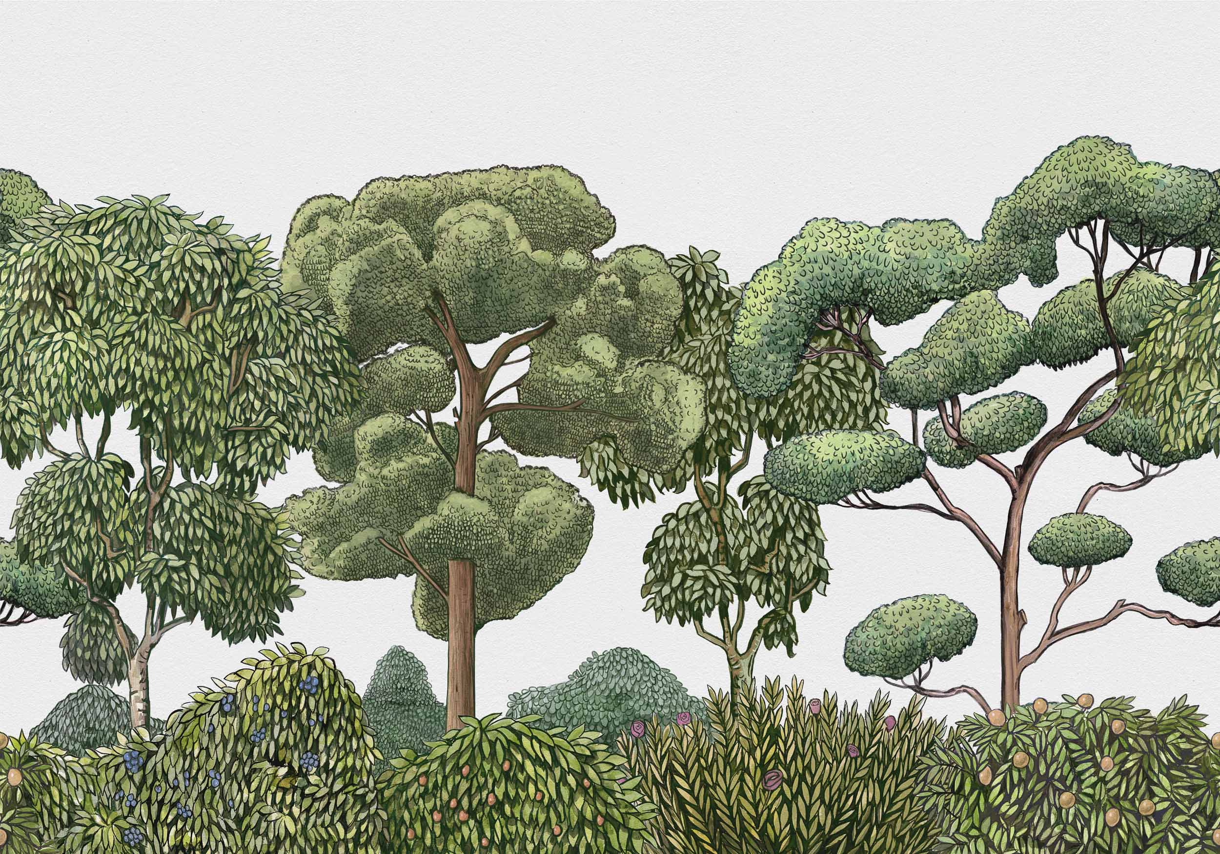 Coordonné behang Green Forest Natural 9700090