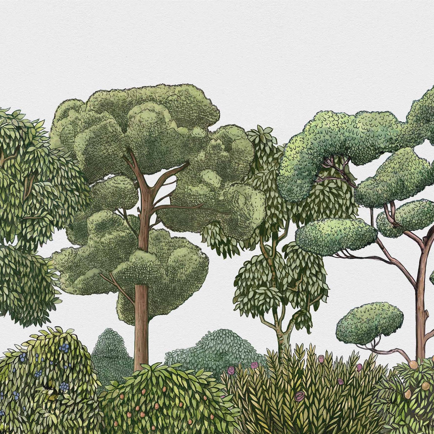 Coordonné behang Green Forest Natural 9700090