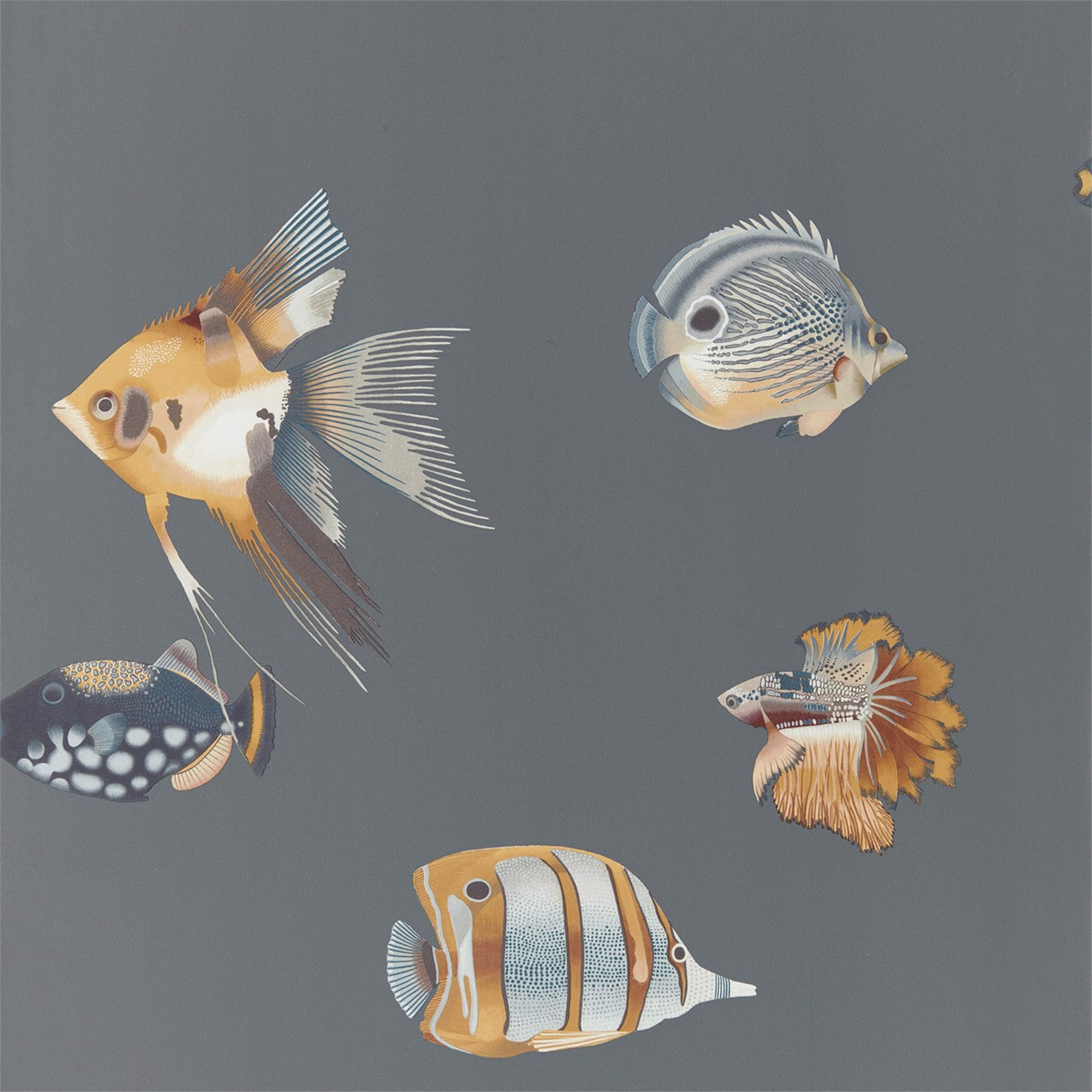 Harlequin behang Kamanu Amber/Slate 111648