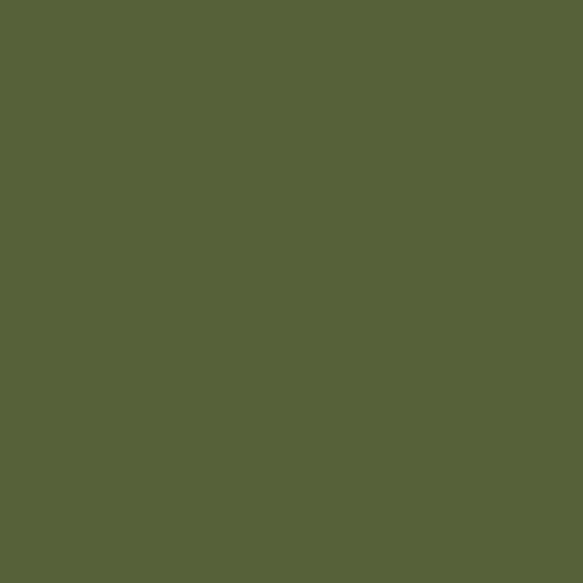 Little Greene verf - Jewel Beetle 303