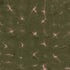 Coordonné behang Kanoko Moss B00908