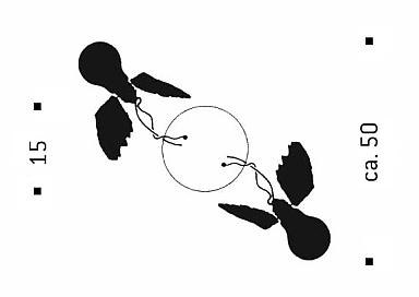 Ingo Maurer Lucellino Doppio plafond / wandlamp