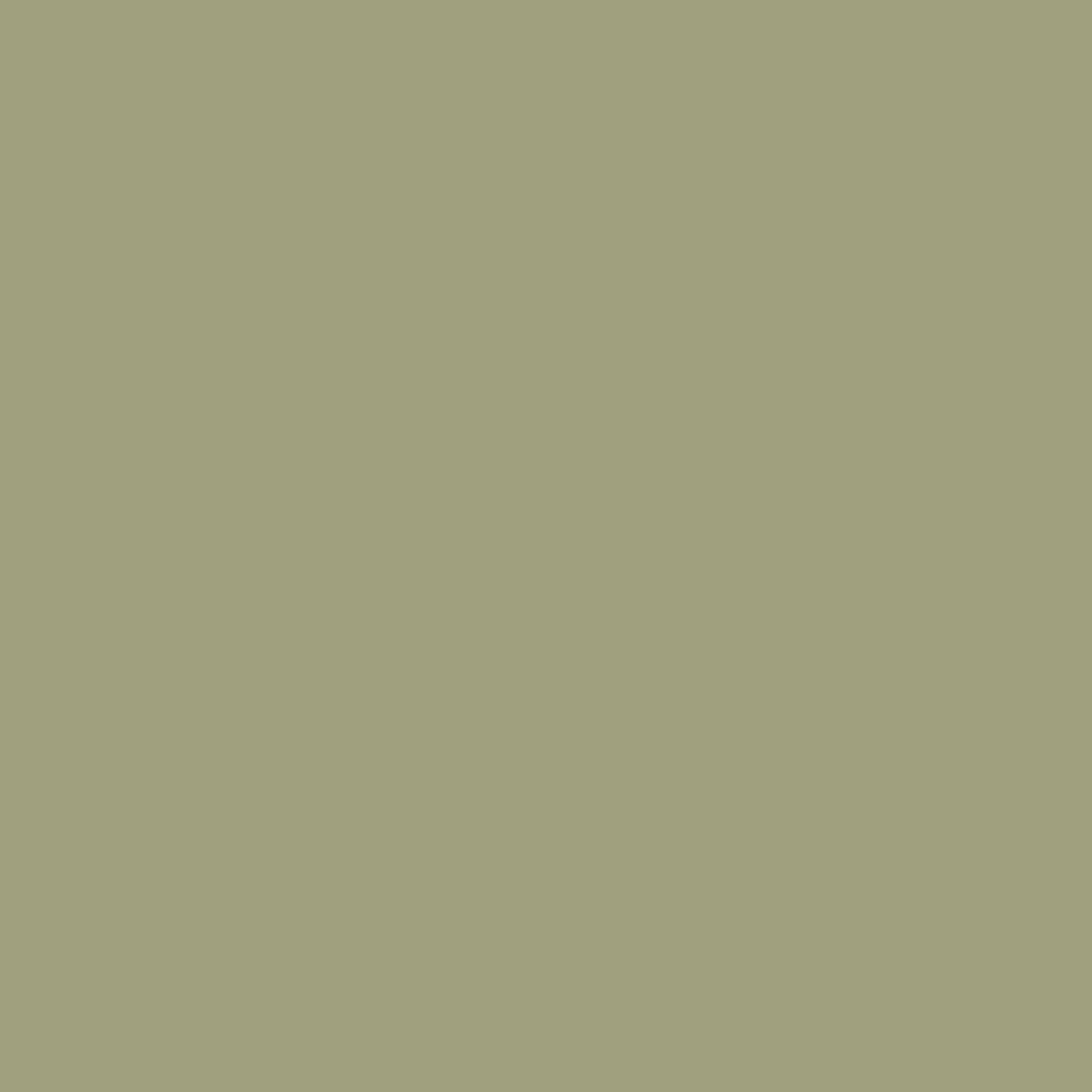 Little Greene verf - Normandy Grey 79