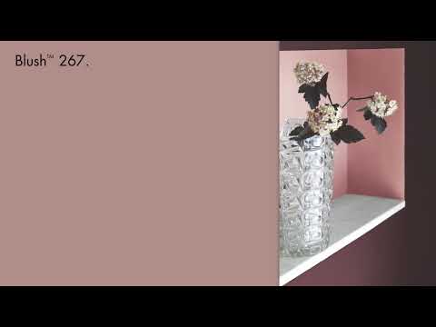 Little Greene verf - Blush 267