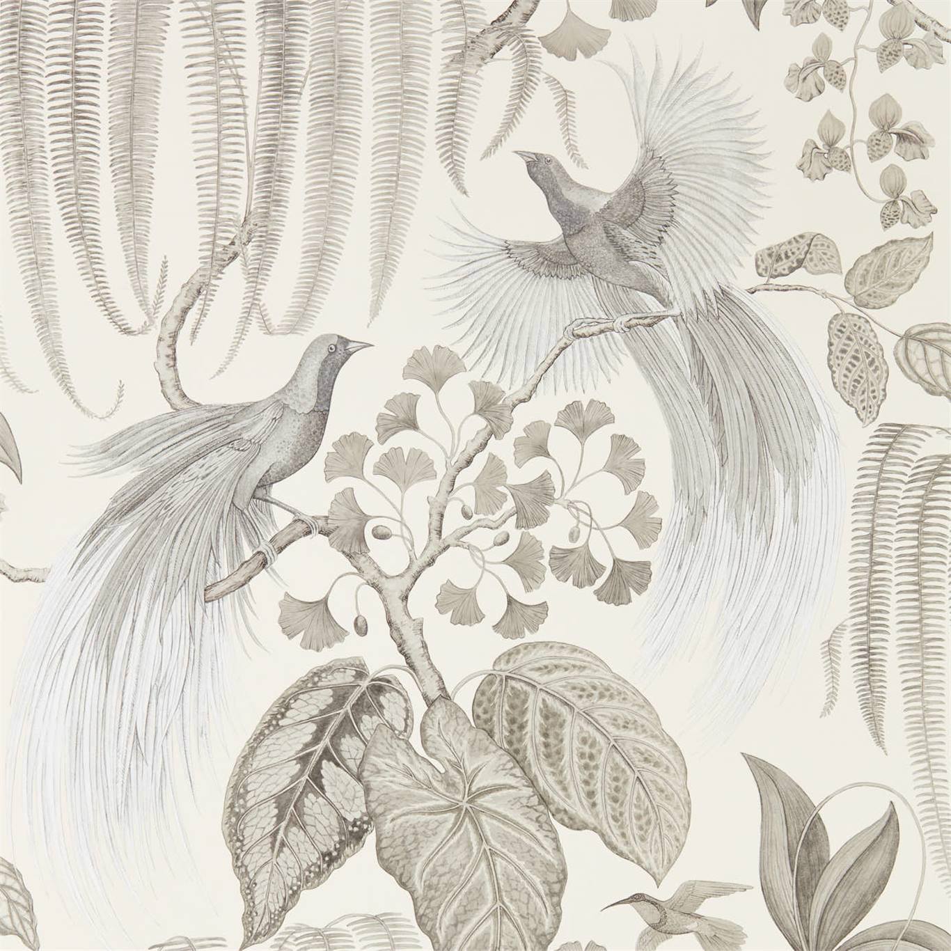 Sanderson Bird of paradise Linen 216652