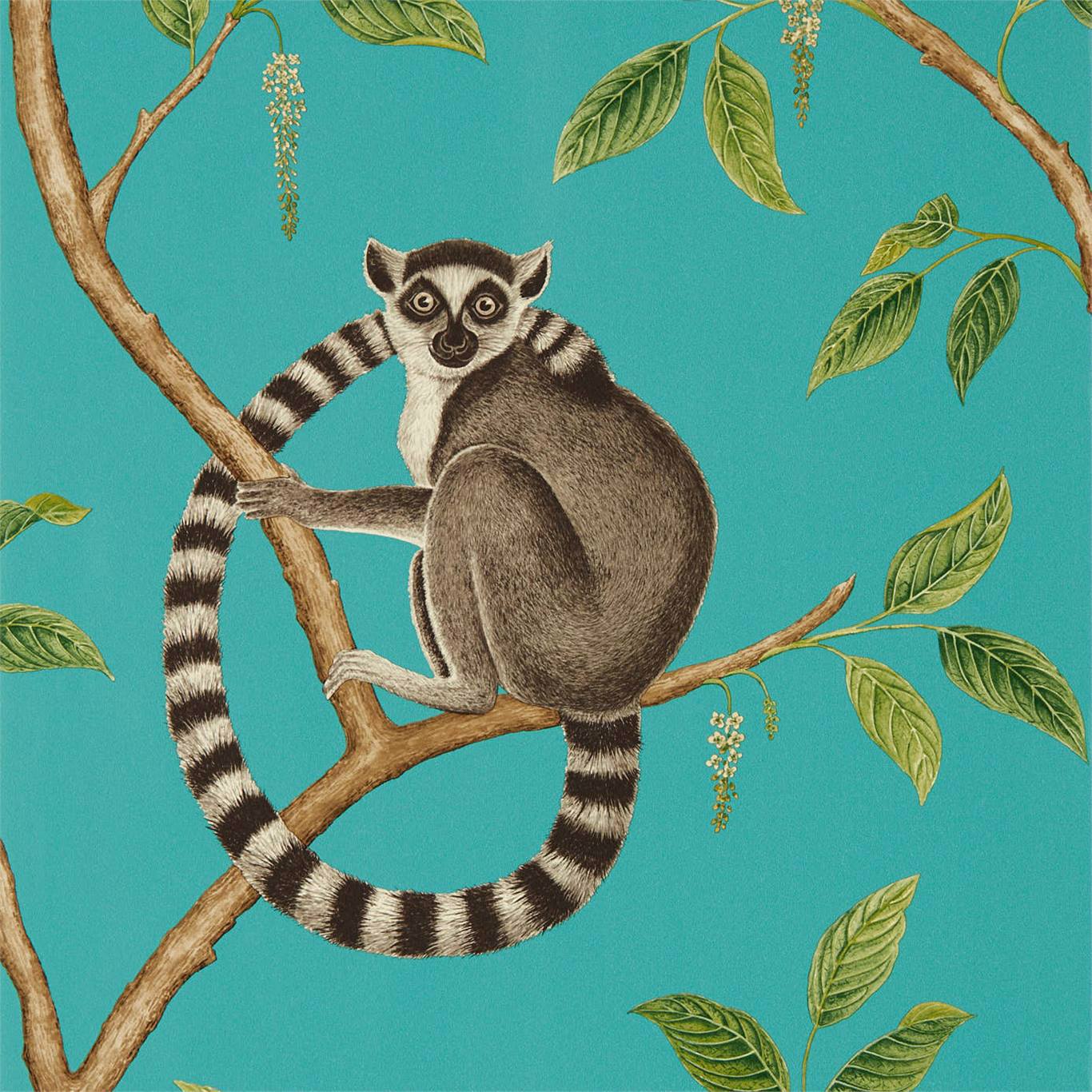 Sanderson Ringtailed Lemur Teal 216663