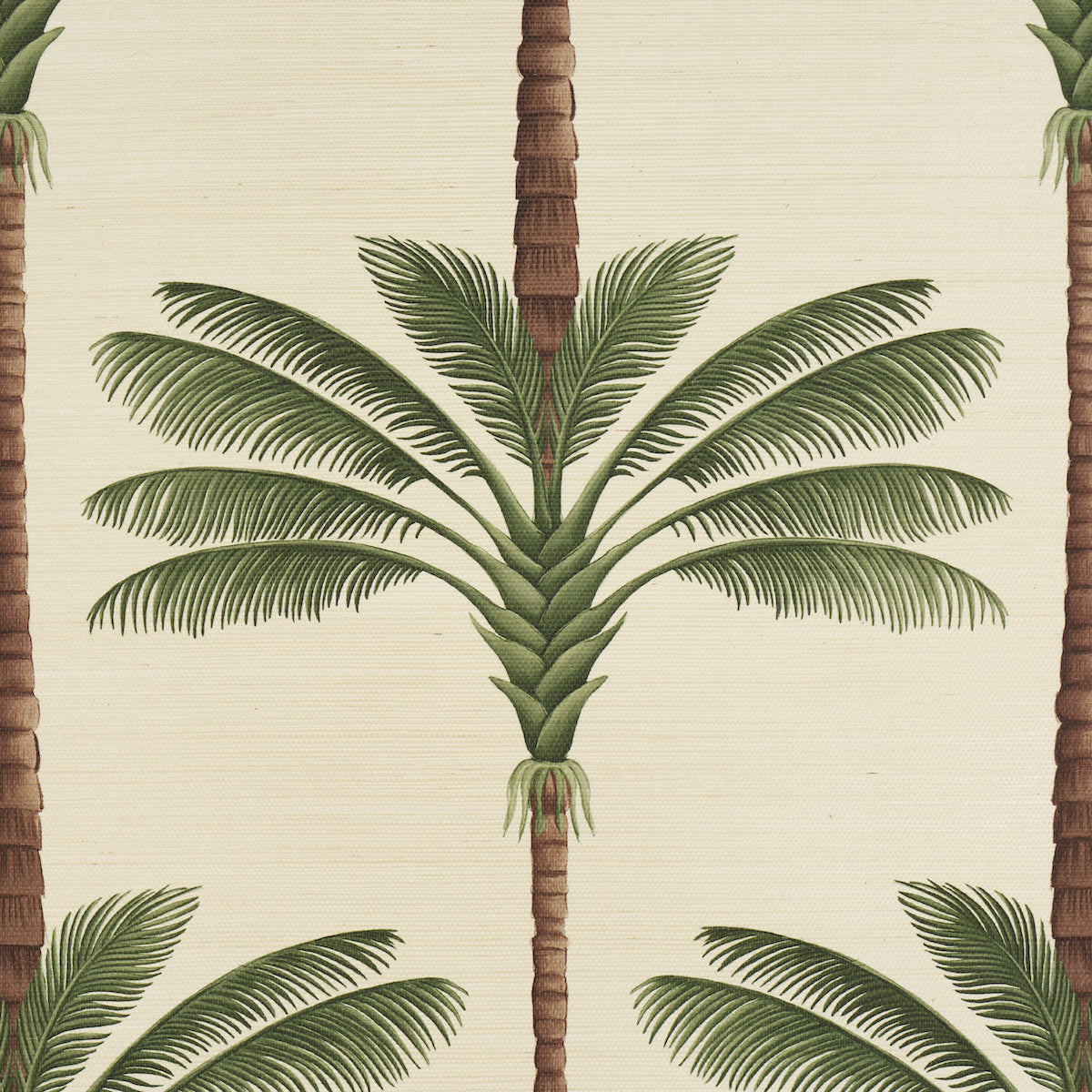 Schumacher A Palm Is A Palm Sisal sfeerbeeld