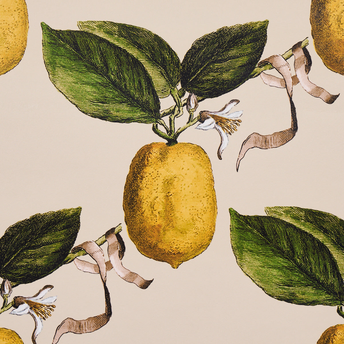 Schumacher Le Citron Natural detailfoto