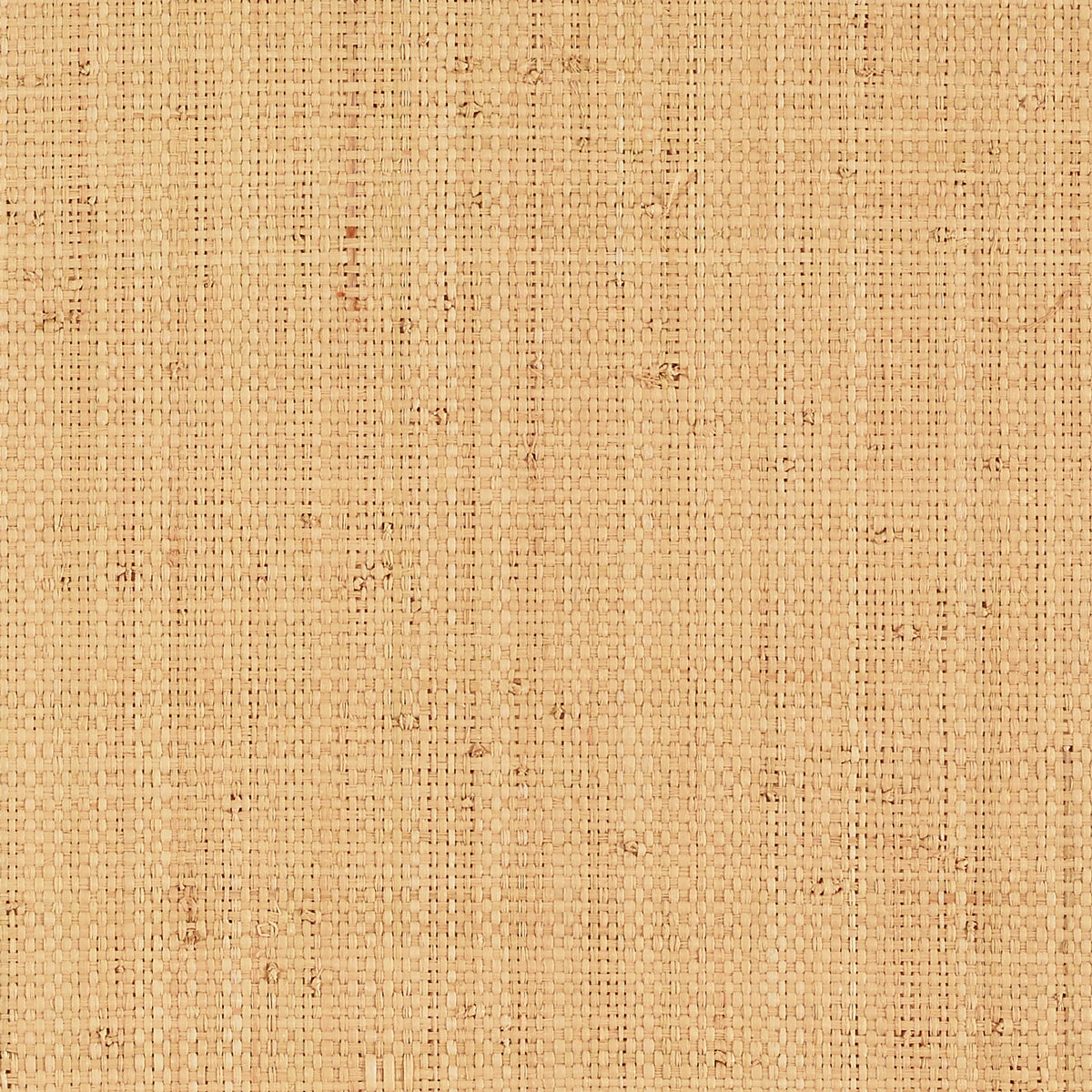 Schumacher Nakara grasscloth behangbekleding Natural 5007940