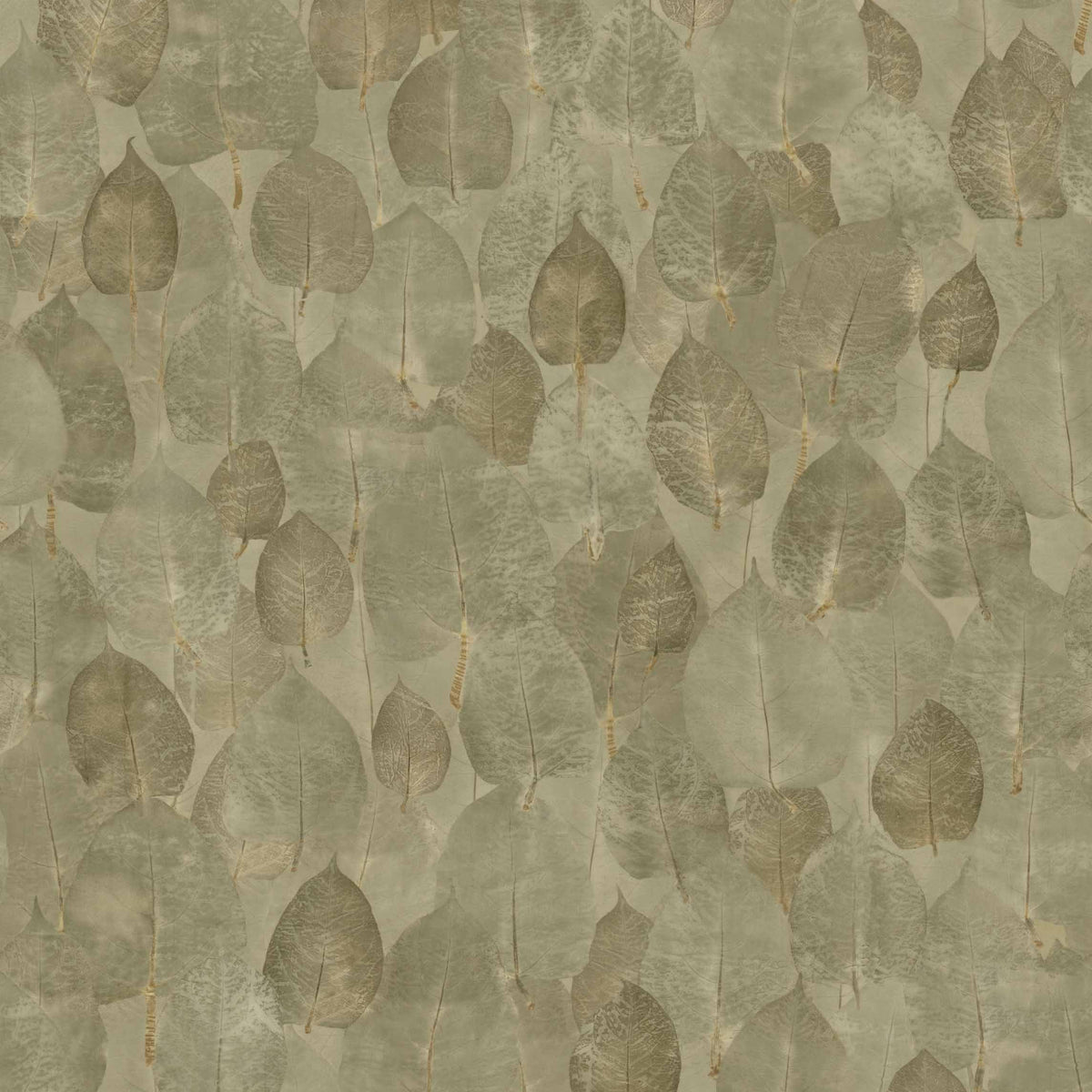 Coordonné behang Suman Moss D00435B