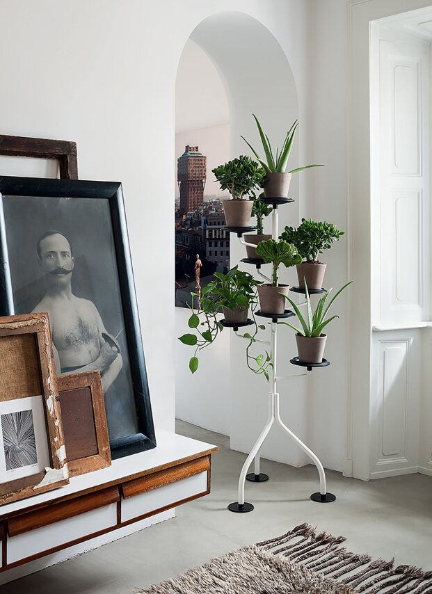 Zanotta Albero plantenstandaard