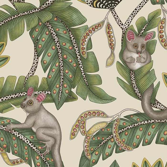 Ardmore Jabula Bush baby 119/7035