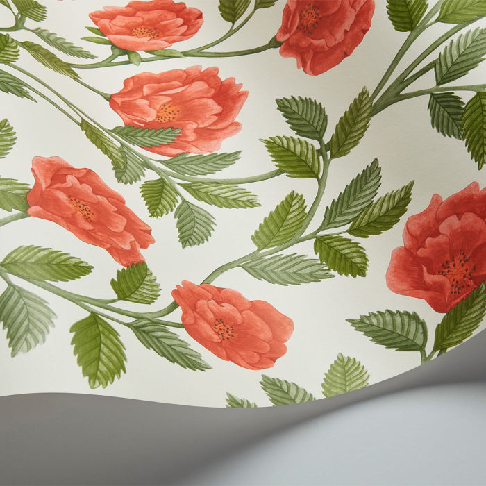 Cole and Son behang Hampton Roses 118/7013