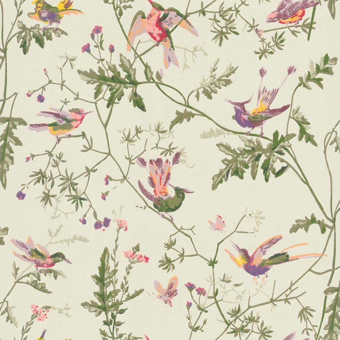 Cole and Son Hummingbirds