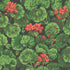 Cole And Son Geranium 117-11033