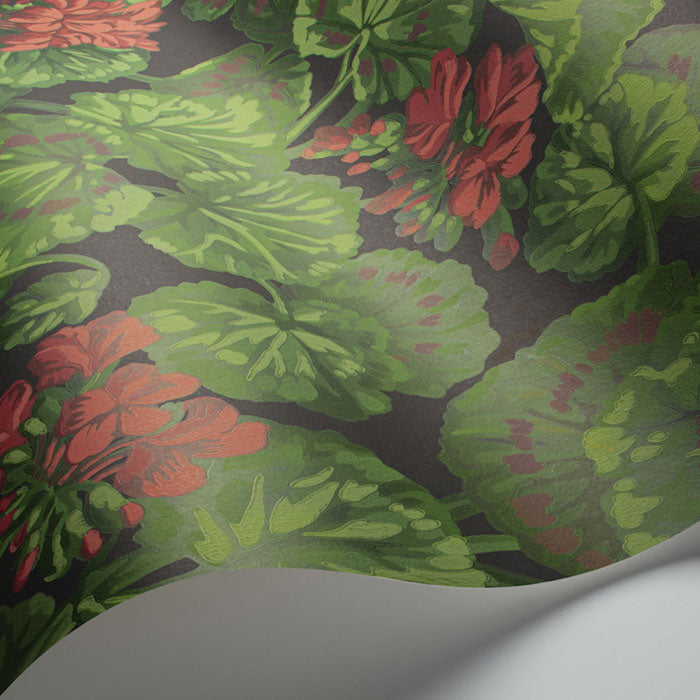 Cole And Son Geranium 117-11033
