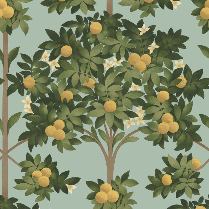 Cole And Son behang Orange Blossom 117/1002