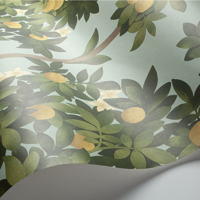 Cole And Son behang Orange Blossom 117/1002