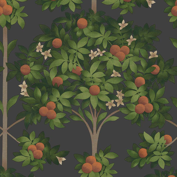 Cole And Son behang Orange Blossom 117/1003
