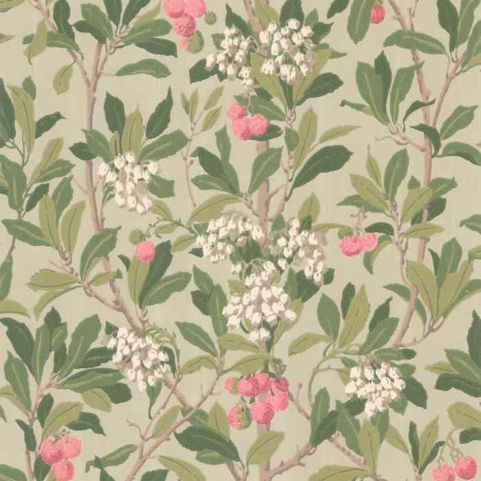 Cole and Son Archive Anthology Strawberry Tree 100/10048