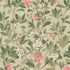 Cole and Son Archive Anthology Strawberry Tree 100/10048