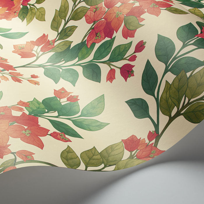 Cole and Son behang Bougainvillea 117/6016