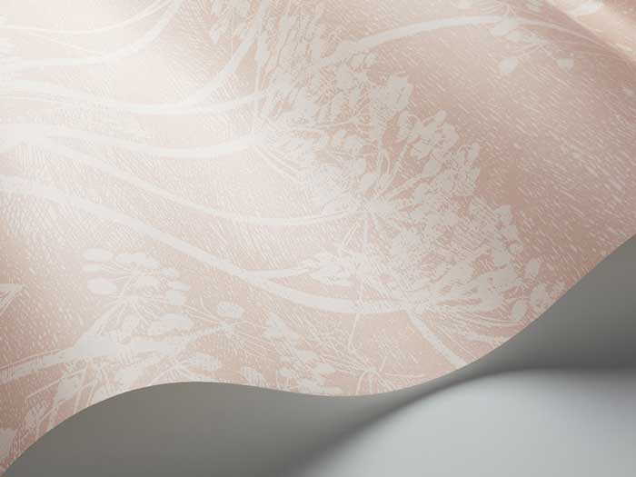 cole and son cow parsley