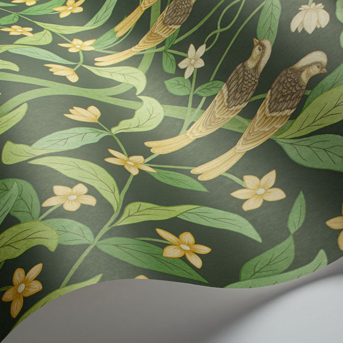 Cole-and-Son-seville_jasmine-serin-symphony 117/10029