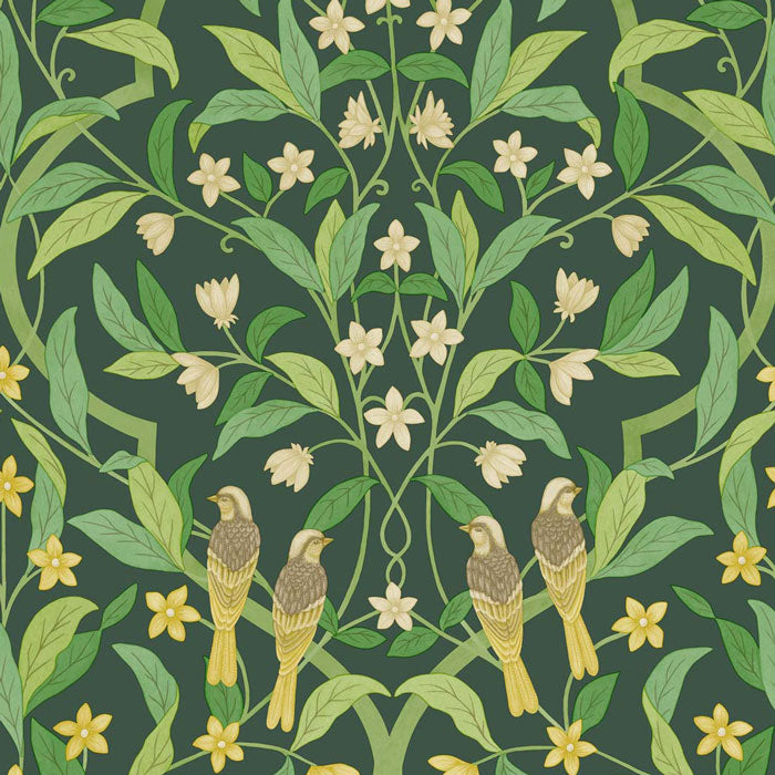 Cole-and-Son-seville_jasmine-serin-symphony 117/10029