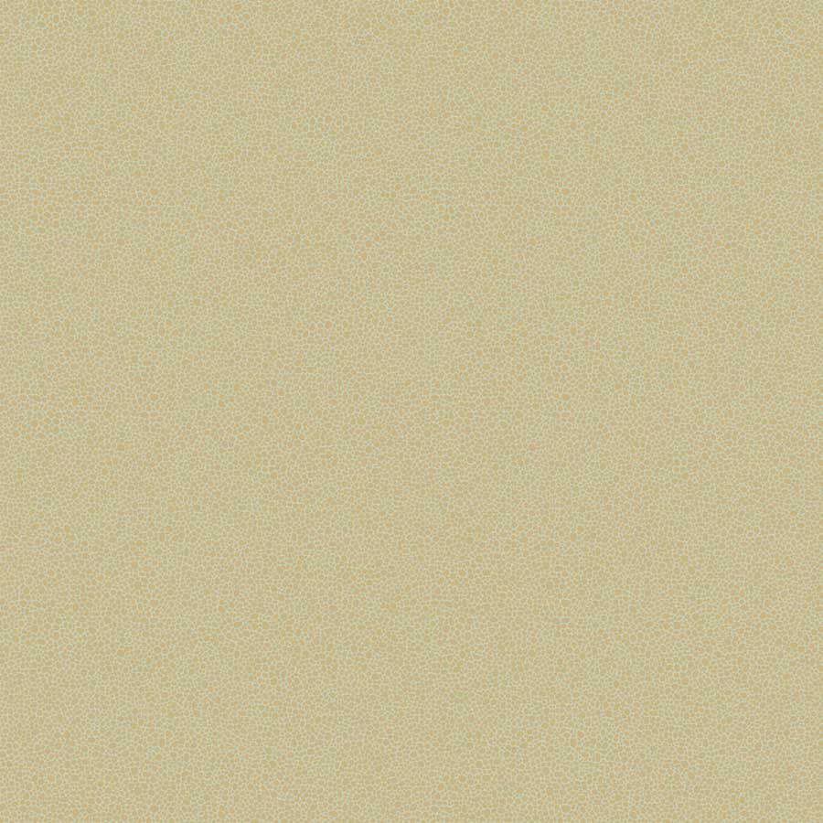 Cole & Son behang goldstone