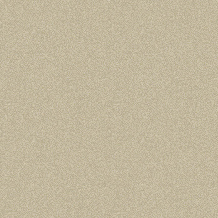 Cole & Son behang goldstone