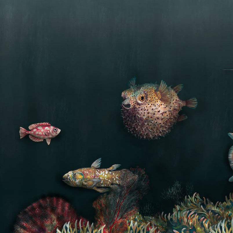 DEEP OCEAN - ATLANTIC | 9500500