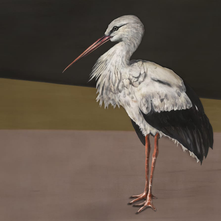 STORK MOTHER - BLACK | 9500300