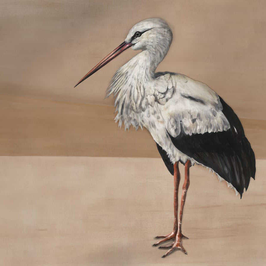 Coordonné Stork Mother Nude 9500301